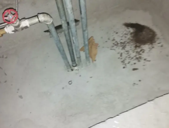 新龙卫生间测漏水价格明细